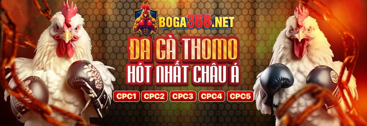 Tổng quan các phương thức thanh toán an toàn tại HM88